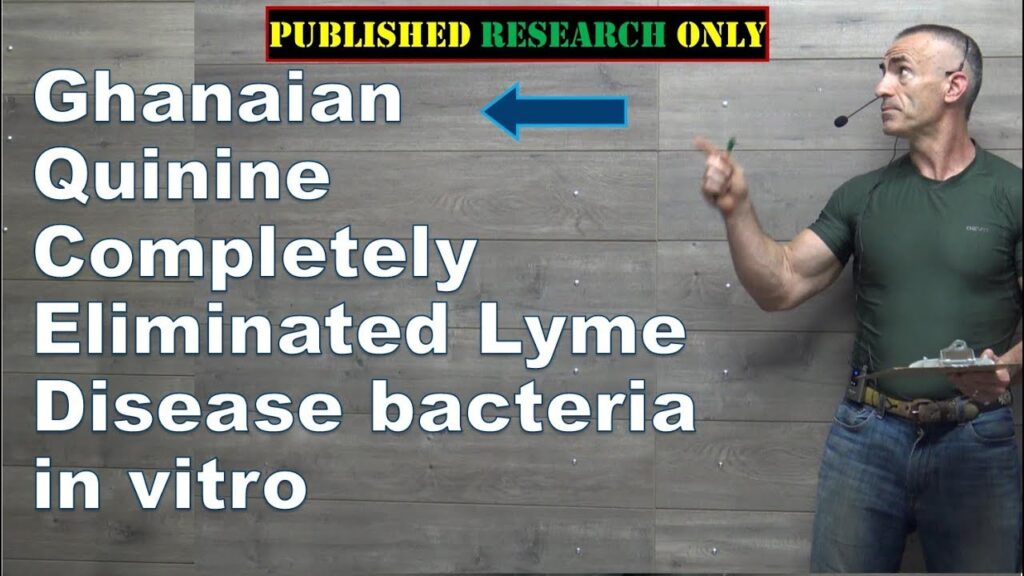 Ghanaian Quinine Completely Eliminated Lyme Disease bacteria in vitro